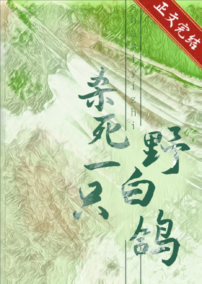 穿回毁容父亲的校草时光结局