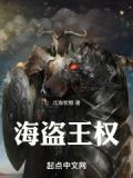 海盗王权TXT下载
