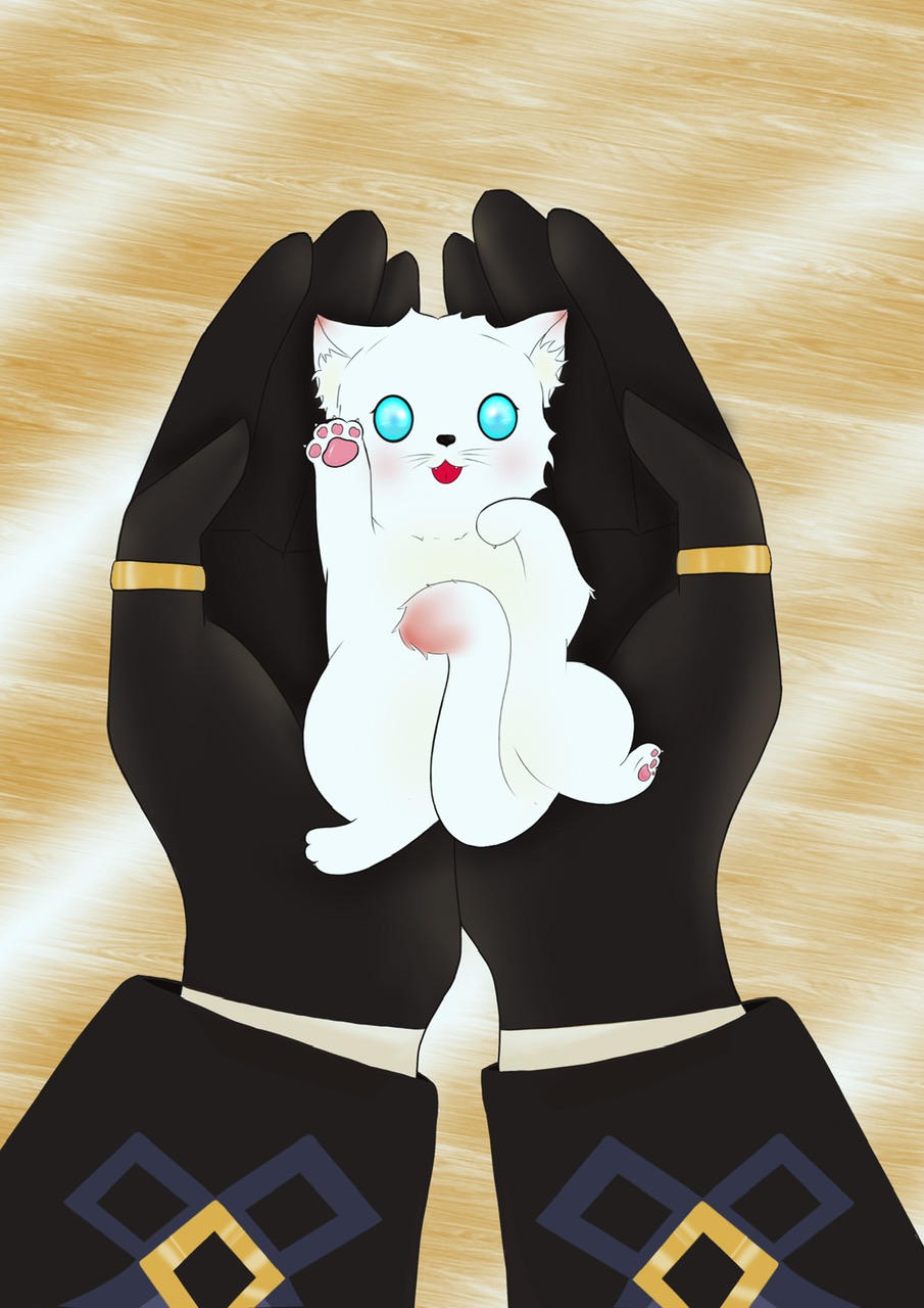 原神今天猫猫也在努力生存
