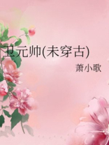 卫元帅(未穿古)免费阅读