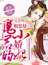 魔君的小悍妃