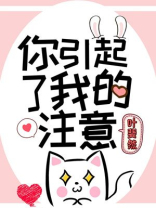 你引起了我的注意 叶斐然百度云