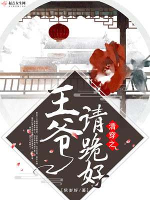 清穿之王爷太腹黑