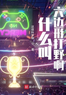 什么叫六边形打野啊起点中文网