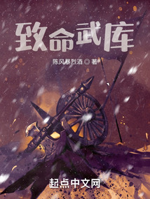 致命武库陈风暴烈酒TXT下载