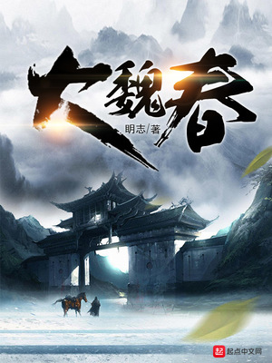 大魏春秋 名剑山庄