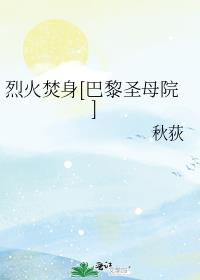 烈火焚身巴黎圣母院小说