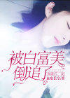 离婚后,我被白富美倒追了 血痕长空