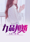 九品相婿有几个女主