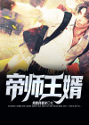 帝师王婿电视剧免费观看