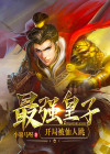 最强皇子小说