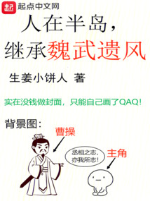 人在半岛,继承魏武遗风TXT下载