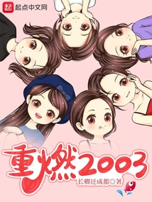 重燃2001小说