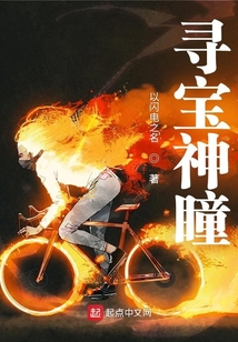 寻宝神瞳精校TXT下载