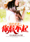 我的老婆你惹不起楚风