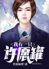 我有一座许愿屋 小说