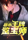 都市鉴宝之王