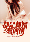 都是赘婿惹的祸小说