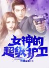 女神的超级护卫 萧正