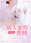 别人家的女婿意思