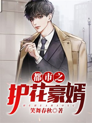女神的第一狂夫小说