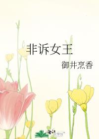 非诉女王百度云下载