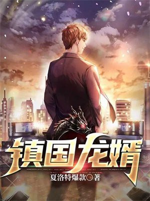 镇国龙婿全集免费完整版