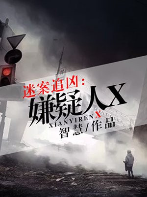 迷案追凶:嫌疑人X 智慧