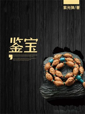 鉴宝类小说