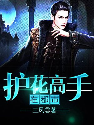 护花高手在都市