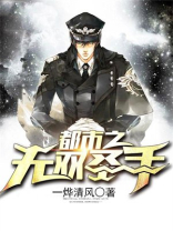 都市之无双仙婿 小说