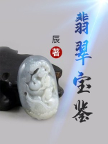 翡翠宝鉴TXT下载