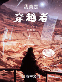 我真是穿越者林奕澄笔趣阁小说