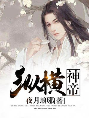 纵横神帝 小说