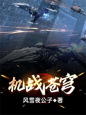 机战苍穹电视剧