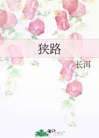 狭路电视剧免费观看完整版高清