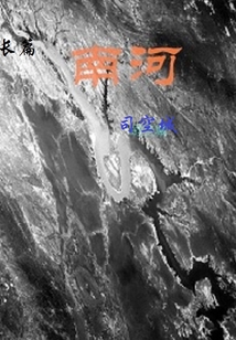 南河镇小说