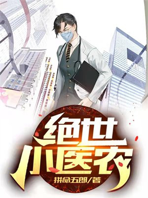绝世小医农石小磊