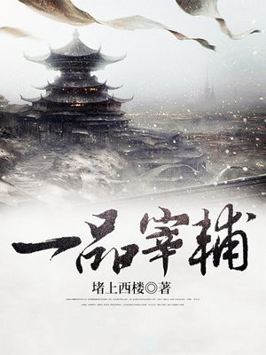 一品宰辅笔趣阁