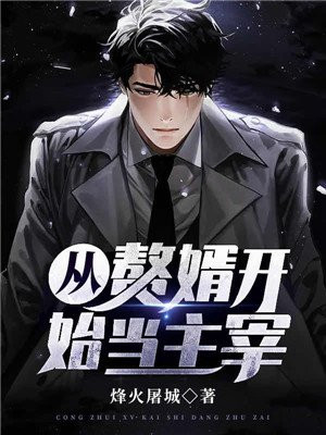 从赘婿开始当主宰的小说