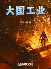 大国工业小说85
