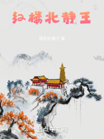 红楼 遗 梦北静王小说