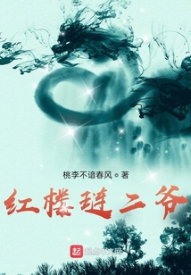 红楼琏二爷小说下载