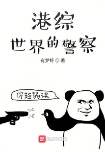 港综世界的警察小说最新章节