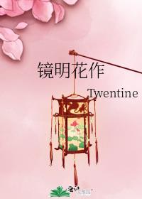 镜明花作 twentine