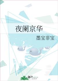 夜阑京华何未怀孕