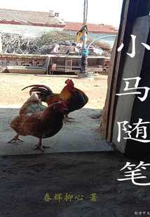 小马日记完整版