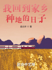 我回到家乡种地的日子小说