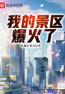 我的景区爆火了免费阅读