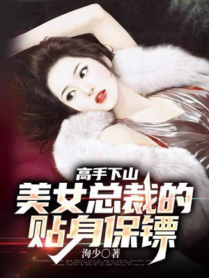 美女总裁的贴身高手寂无